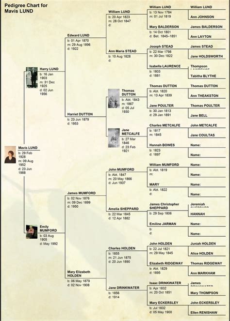 Lund Family Tree - Looking Back in Time