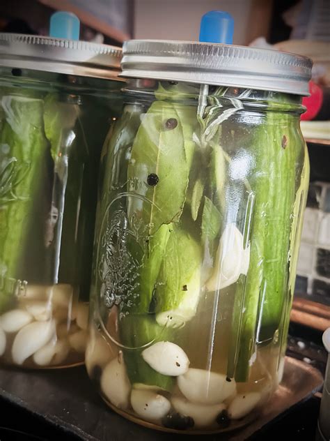 Easy Lacto Fermented Pickle Recipe Sanctuary Everlasting