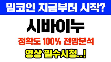 시바이누 긴급 정확도 100 차트분석 밈코인 지금부터 시작 영상 필수시청 코인시황 Youtube