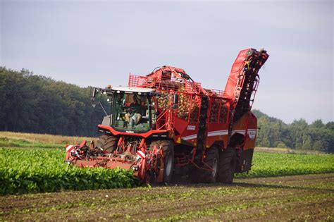 Grimme Grimme Rexor 6300 Platinum Trekkerweb Nl