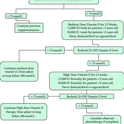 Suggested Vitamin D Supplementation Algorithm Download Scientific