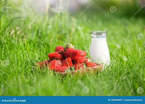 Tasty straberry stock image. Image of lifestyle, drink - 70238489