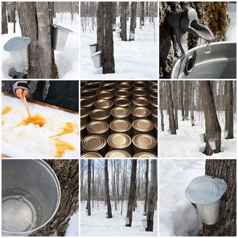 Maple syrup production — Stock Photo © StudioLightAndShade #22337317