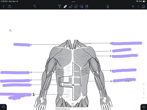 bio lab practical 3 Flashcards | Quizlet