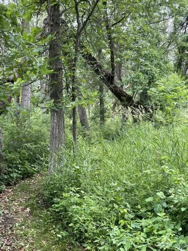 Best Hikes And Trails In Gordon And Faith Greiner Nature Preserve