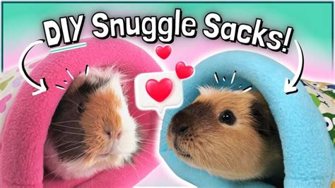 How To Make Your Own Guinea Pig Snuggle Sacks Tutorial And Sewing