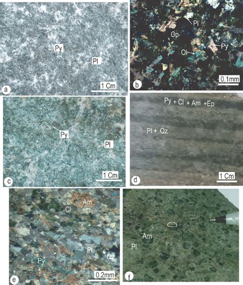 A Equant Grained Metagabbros With Pyroxene Px And Plagioclase Pl