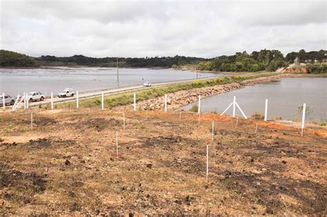 Obra Revitaliza Rea No Entorno Da Barragem Piraquara Ii