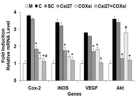 17 Combined Silencing Of HCV 3a Core And Host COX 2 Genes Effect On