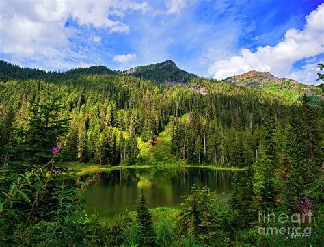 Lake Elizabeth - Washington State Photograph by Yefim Bam