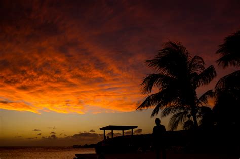 Banco De Imagens Mar Oceano Horizonte Nuvem Céu Dom Nascer Do Sol Por Do Sol Manhã