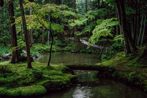 Japanese-Gardens-02.jpg