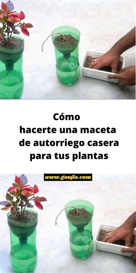 Cómo hacerte una maceta de autorriego casera para tus plantas Anime Art