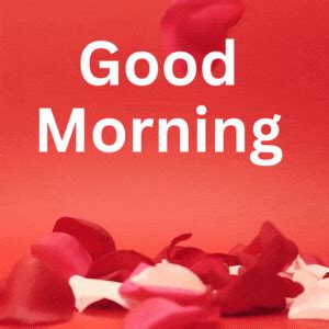 Rose Good Morning Gif for Love | Lets Wake Up Early in the Morning