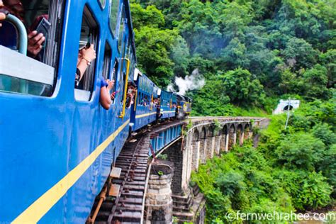 Ooty Mountain Train: All About Nilgiri Toy Train Ride - Fernwehrahee