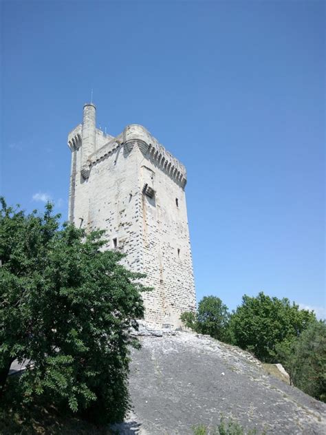 Cosa Vedere Ad Avignone In Provenza Meraviglie In Europa