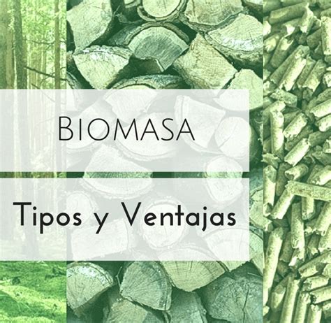 Biomasa Tipos Y Ventajas La Comunidad De Proinco