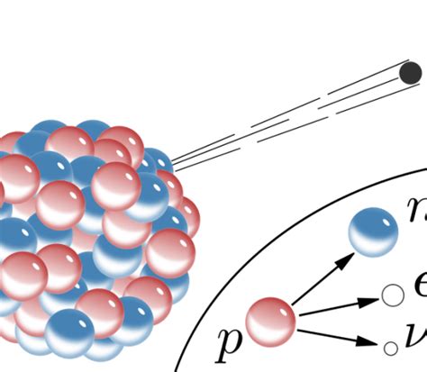 Difference Between Positron Emission and Electron Capture | Definition ...