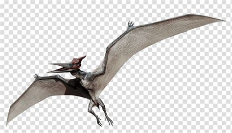 Gray Pterodactyl Illustration Jurassic Park Pteranodon Microceratus Mosasaurus Dimorphodon