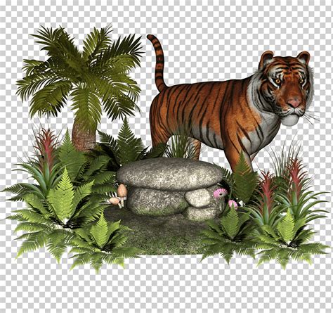 Plantas y rocas 4 ilustración de tigre marrón png Klipartz