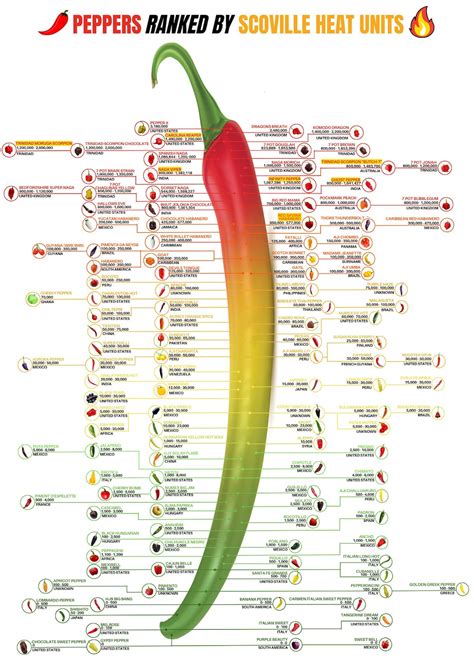 Scoville Chart Poster Scoville Pepper Scale Chillies Ranked By