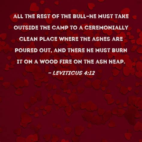 What Is Leviticus About 2