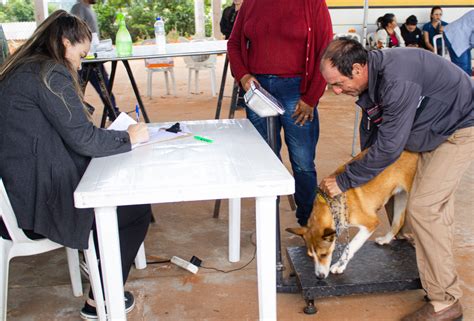 S O Chico Mais De Animais Foram Castrados Em Apenas Um Dia Np