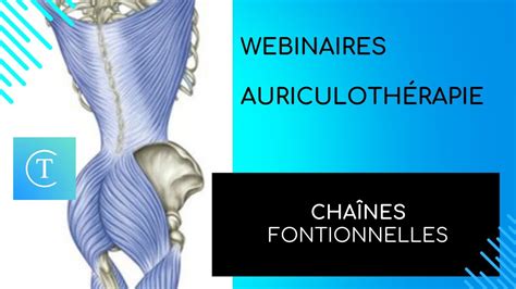 Webinaire Auriculoth Rapie Cha Nes Musculaires Cha Nes