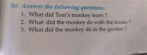 Tricky Monkey Answer 3