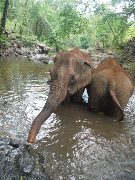 Mondulkiri is the most unique province of Cambodia