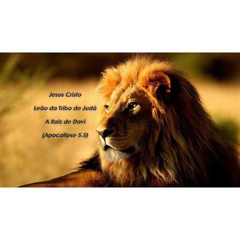 Frases Com A Palavra Leao