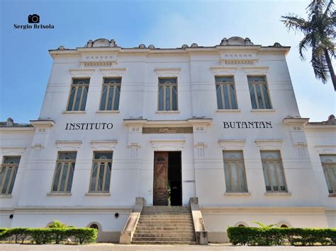 Instituto Butantan Edif Cio Vital Brazil Biblioteca Descubra