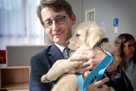 Il accueille un futur chien guide à la mairie de Beauvais Franck Pia