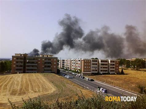 Degrado E Proteste A Ponte Di Nona