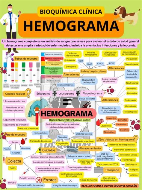 Hemograma Dr Quinver UDocz