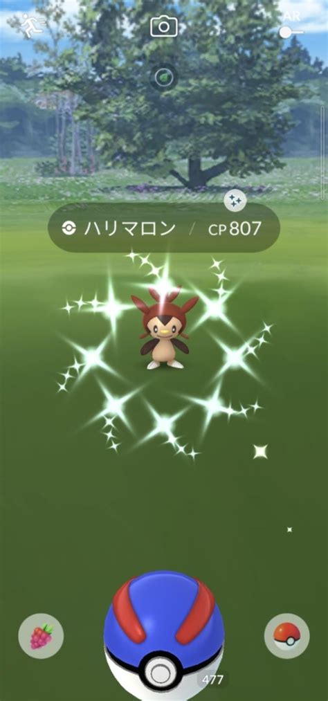 【ポケモンgo】ハリマロンのコミュニティデイ かっちゃん1114のブログ