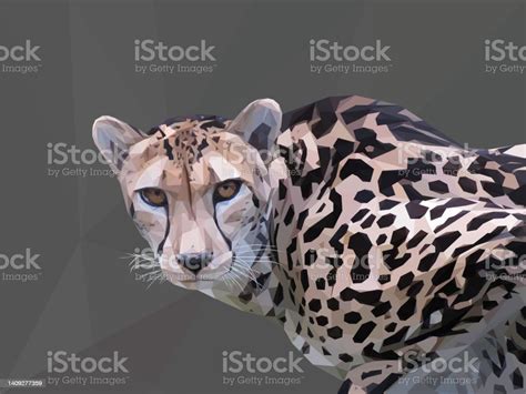 African King Cheetah Low Poly Illustration向量圖形及更多美洲豹圖片 美洲豹 獵豹 三角形