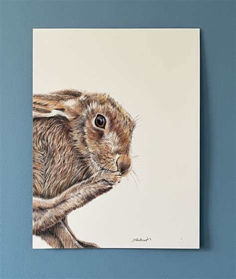 Wild Brown Hare Chilling Out Hare Original Coloured Pencil Drawing