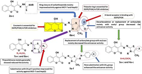 Structure Activity Relationship Showing The Important Bioactive Download Scientific Diagram