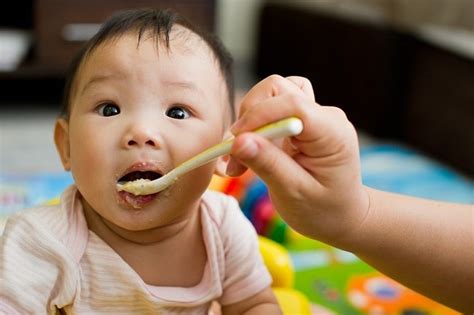 Bayi 6 Bulan Mulai Mengonsumsi Makanan Padat Alodokter