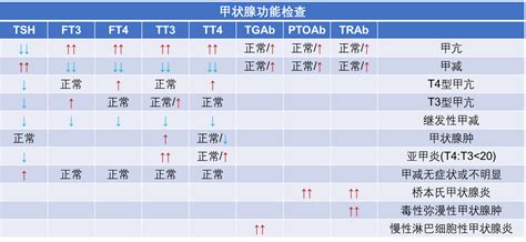 一文教你读懂甲状腺功能检查 凤凰网