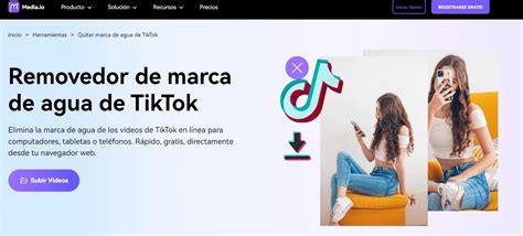 Quitar La Marca De Agua De Tiktok Online Gratis