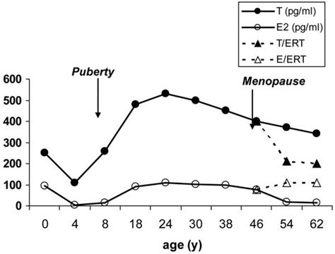 Average Estradiol E2 And Testosterone T Levels Across The Female Download Scientific