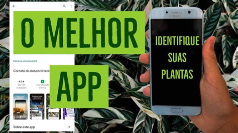 COMO IDENTIFICAR PLANTAS App identificador de plantas grátis como