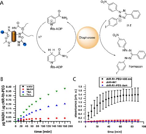 A Reaction Scheme Of The Photocatalytic Reduction Of Nad With The