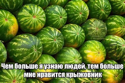 Никакие | uCrazy.org