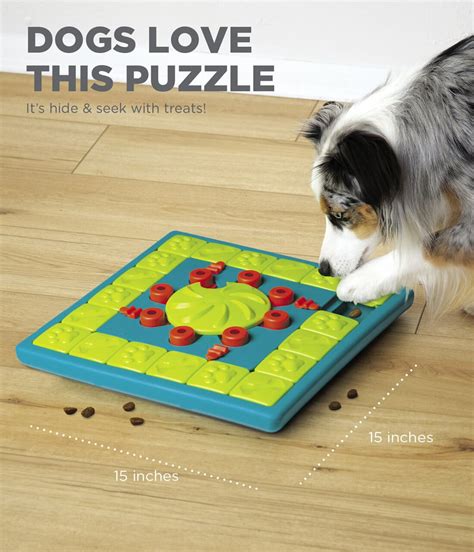 Treat Puzzle - Multipuzzle Dog Game