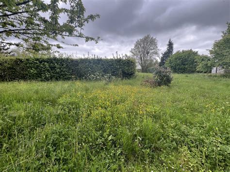 Immobilier Vente Terrain Villers Cotterets 834 m² Annonce Immobilière