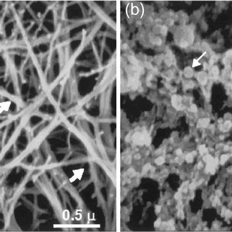 Scanning Electron Micrographs X30 000 Of A Control Fibrin Clot And Download Scientific