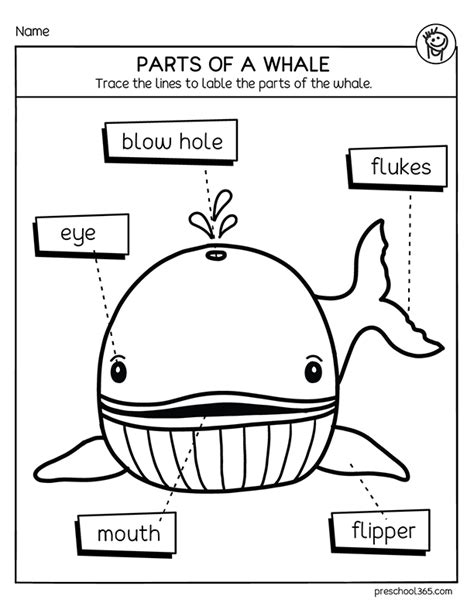 Preschool Whales Activities 05 Preschool365